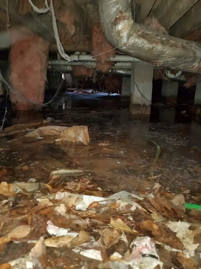 Crawl space flood assessment for Leak Detection & Repair in Verdigris